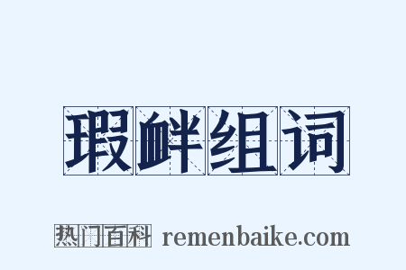 瑕衅组词是什么意思的图片